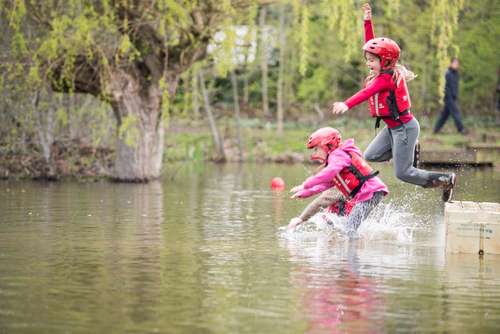 two_cubs_leaping_into_water