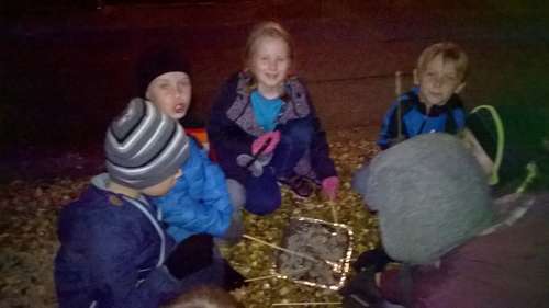 wp_20151105_18_58_17_pro